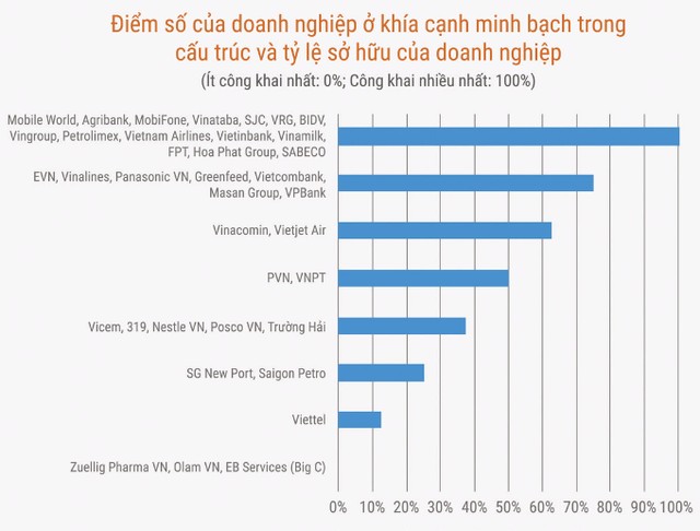 Minh bạch thông tin: Doanh nghiệp lớn chưa đạt kỳ vọng ảnh 1