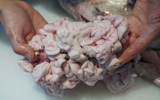 Tinh hoàn cá: Giới nhà giàu lùng mua với giá...trên giời ảnh 1