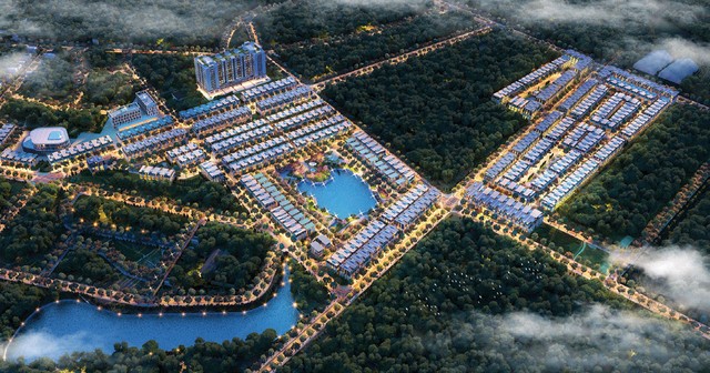 Đầu tư thông minh cùng Tập đoàn TMS ảnh 1