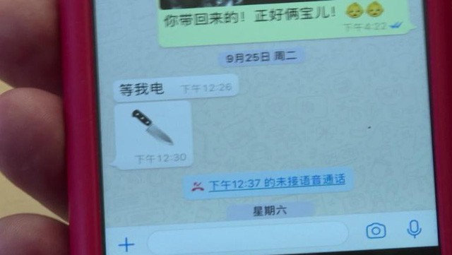 Trung Quốc xác nhận điều tra chủ tịch Interpol giữa nghi vấn “đả hổ diệt ruồi” ảnh 1