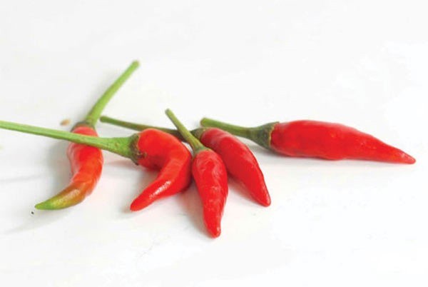 Đi du lịch mang ớt, bò khô giấu trong vali: Bị phạt 700 triệu đồng ảnh 2