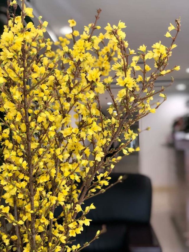 Cành hoa cây dại bên tây, đại gia Việt bỏ chục triệu chơi Tết ảnh 2
