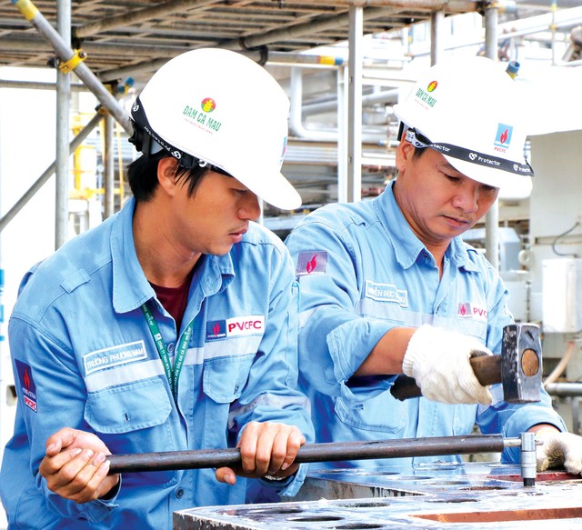 Đạm Cà Mau: Hành trình tạo nền tảng quan trọng cho nông nghiệp ảnh 1