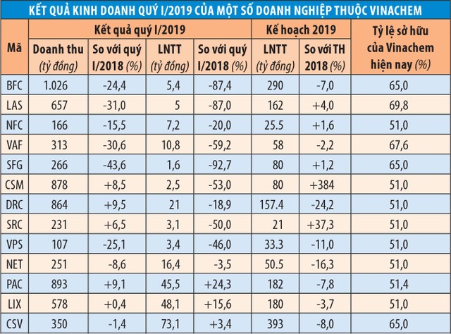 Nhiều công ty con khó khăn, dự báo Vinachem khó thoái vốn ảnh 1