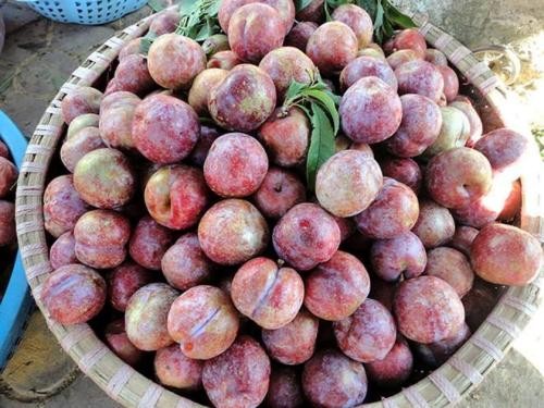 6 điểm ăn chơi cuối tuần quanh Hà Nội ảnh 2