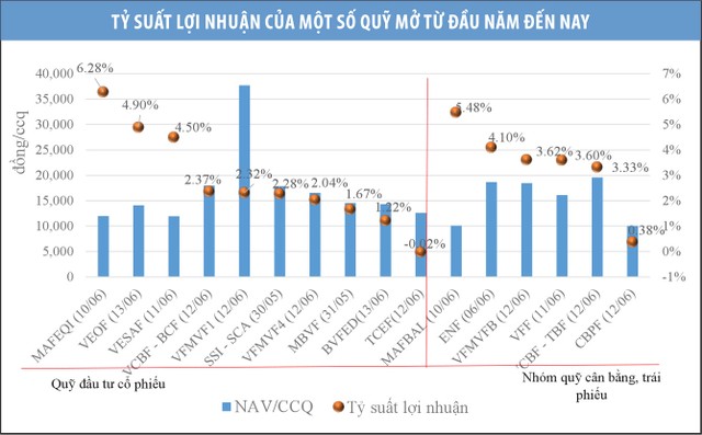 Quỹ mở nhọc nhằn kiếm lãi  ảnh 1