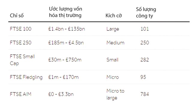 Niêm yết trên sàn London: Cơ hội nào cho doanh nghiệp Việt? ảnh 1
