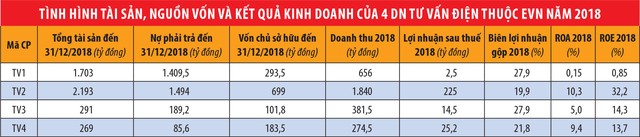 EVN thoái vốn lần 2 tại TV3: Kết quả khó khác biệt ảnh 2