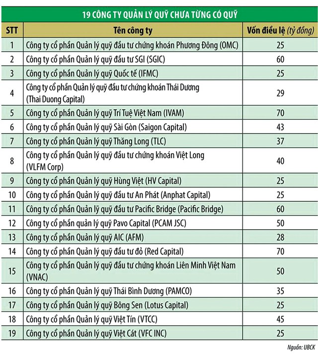 Công ty quản lý quỹ cũng… hụt hơi kiếm lời ảnh 2