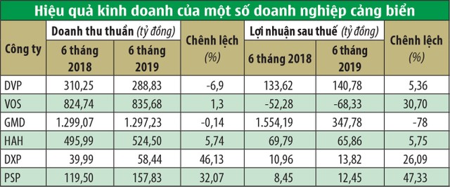 Cổ phiếu cảng biển: Lên vội, xuống gấp ảnh 1