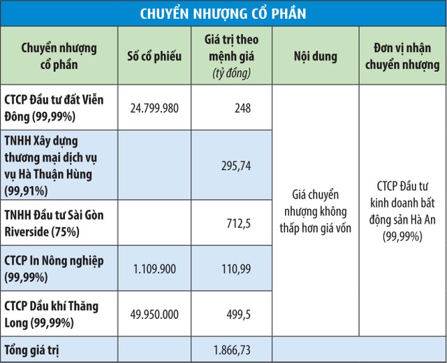 3.000 tỷ đồng mua đất vàng: Chờ Đất Xanh gọi vốn ảnh 1
