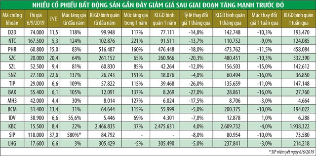 Cổ phiếu bất động sản khu công nghiệp: Liệu có lung lay đà tăng? ảnh 1