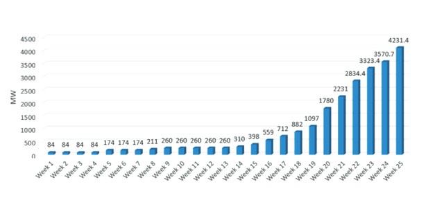 Giá điện mặt trời “giảm sốc”, nhà đầu tư vẫn hào hứng ảnh 1
