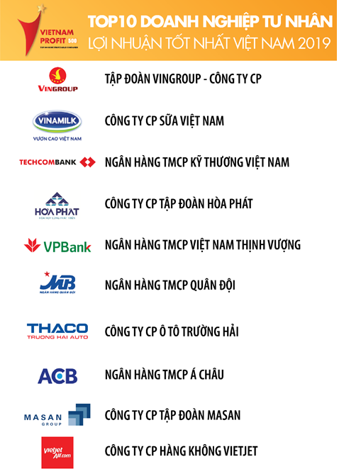 Techcombank là ngân hàng duy nhất có mặt trong Top 3 doanh nghiệp tư nhân có lợi nhuận tốt nhất năm 2019 ảnh 2