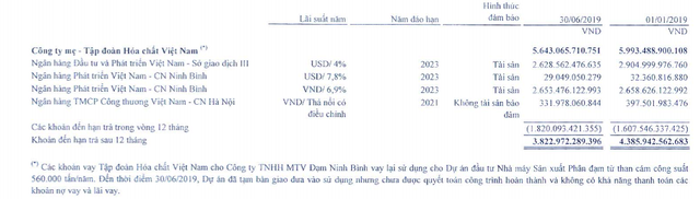 Phong tỏa thêm nghìn tỷ đồng cổ phiếu của Vinachem, “quả bom nợ” Đạm Ninh Bình vẫn treo lơ lửng ảnh 1