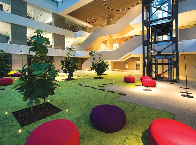 Tín dụng xanh và sự biến đổi khí hậu toàn cầu ảnh 3