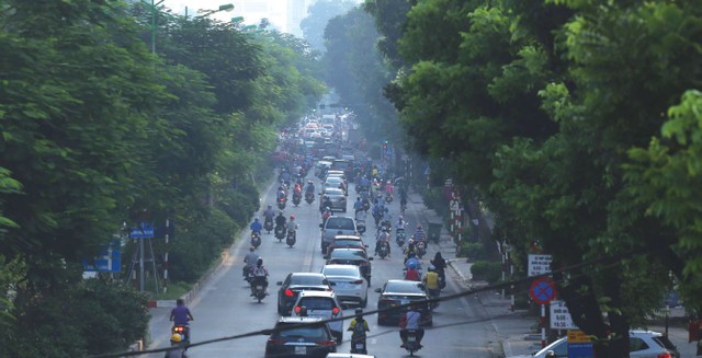 Điện mặt trời vẫn là kênh hút vốn tín dụng xanh lớn nhất ảnh 1