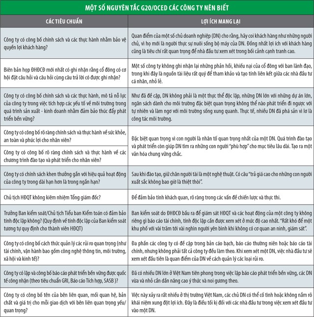 Quản trị công ty: Làm gì để tạo nên sức mạnh? ảnh 1