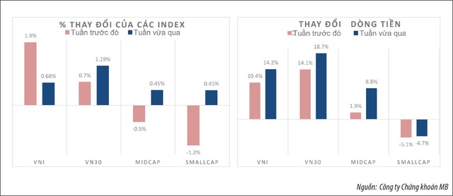 Thị trường tăng, nhà đầu tư vẫn... lỗ ảnh 2