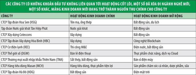 Rủi ro khi lấn sân sang lĩnh vực mới ảnh 1