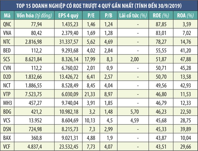 Nhìn ROE đầu tư: “Đường dài mới biết ngựa hay“ ảnh 1