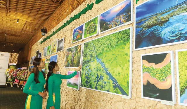 Nhà đầu tư tổ chức còn phân vân 5 vấn đề ảnh 1