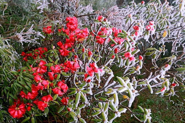 Du lịch Sa Pa: Cần “chiếc áo” đủ rộng để tăng trưởng ảnh 1