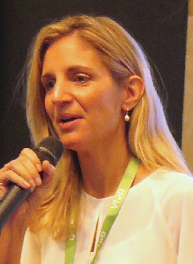 Quản trị công ty, cần vượt qua sự hình thức  ảnh 1