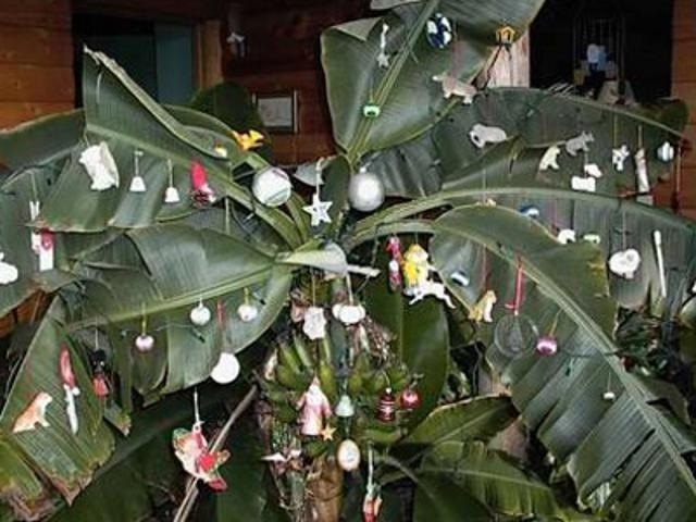 13 phong tục đón Giáng sinh “kỳ cục” nhất trên thế giới ảnh 9