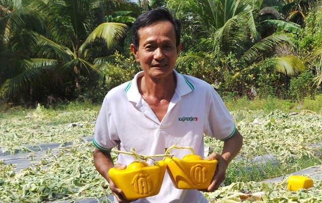 “Vua trồng dưa hấu thỏi vàng” bán 350 cặp dưa… thu về hơn 1 tỷ đồng ảnh 1