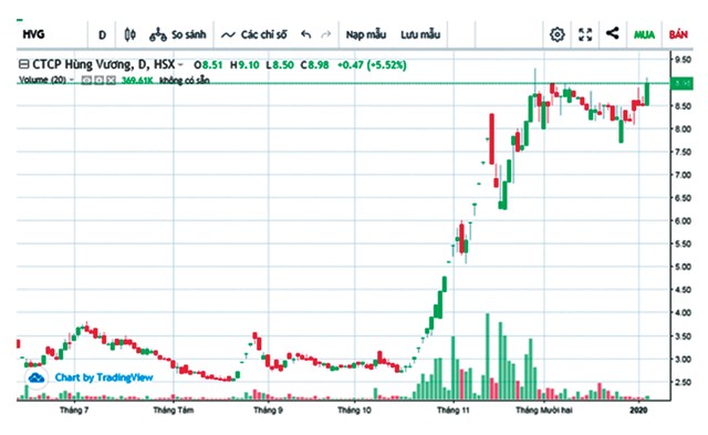 Có hay không việc kéo, xả cổ phiếu HVG? ảnh 1