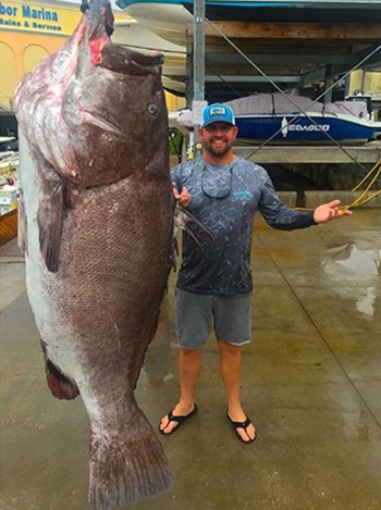 Cá mú già nặng gần 160 kg cắn câu ảnh 1