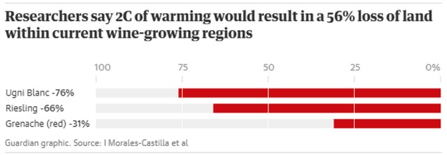 Biến đổi khí hậu: Thách thức lớn đối với ngành công nghiệp rượu vang ảnh 1