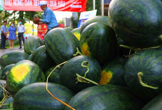 Hội doanh nhân trẻ Việt Nam và Cán bộ nhân viên TTC hỗ trợ tiêu thụ nông sản ảnh 7