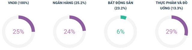 Phái sinh: Linh hoạt theo thị trường ảnh 7
