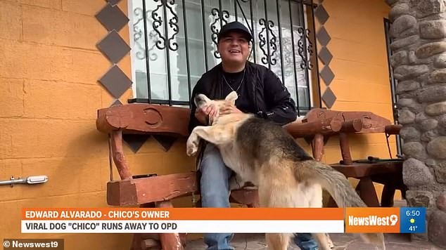 Không tìm thấy chủ, chú chó tự mình đến đồn cảnh sát trình báo ảnh 2