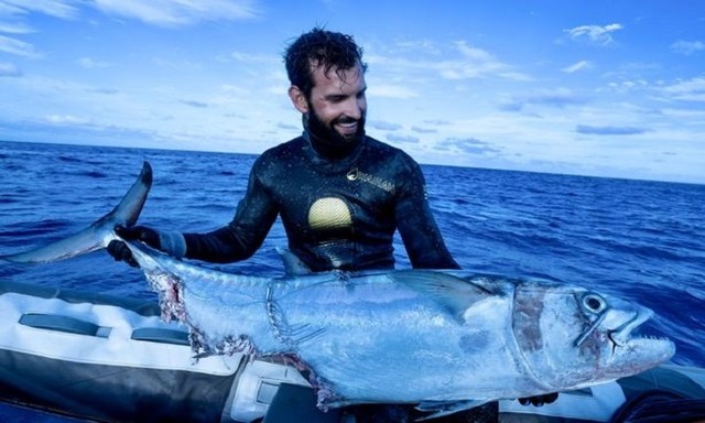 Bầy cá mập cướp cá ngừ từ tay ngư dân ảnh 1