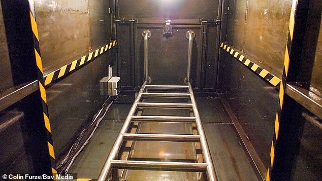 Dự đoán trước thảm họa, chàng trai xây hầm trú ẩn cách ly từ 5 năm trước ảnh 2