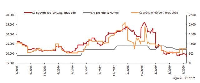 Ngành cá tra chờ sức bật của doanh nghiệp dẫn đầu  ảnh 1