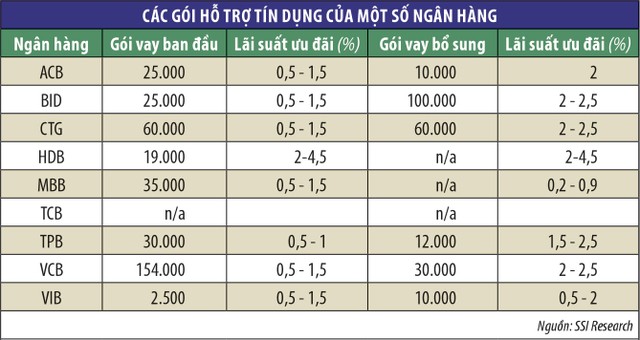 Hỗ trợ doanh nghiệp, nỗi lo hiệu quả ngân hàng suy giảm ảnh 1