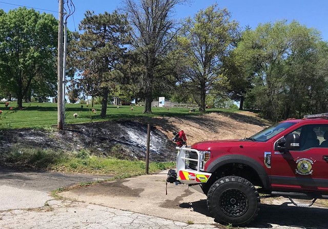 Rắn sống sót sau khi bị giật điện 12.000 volt ảnh 1