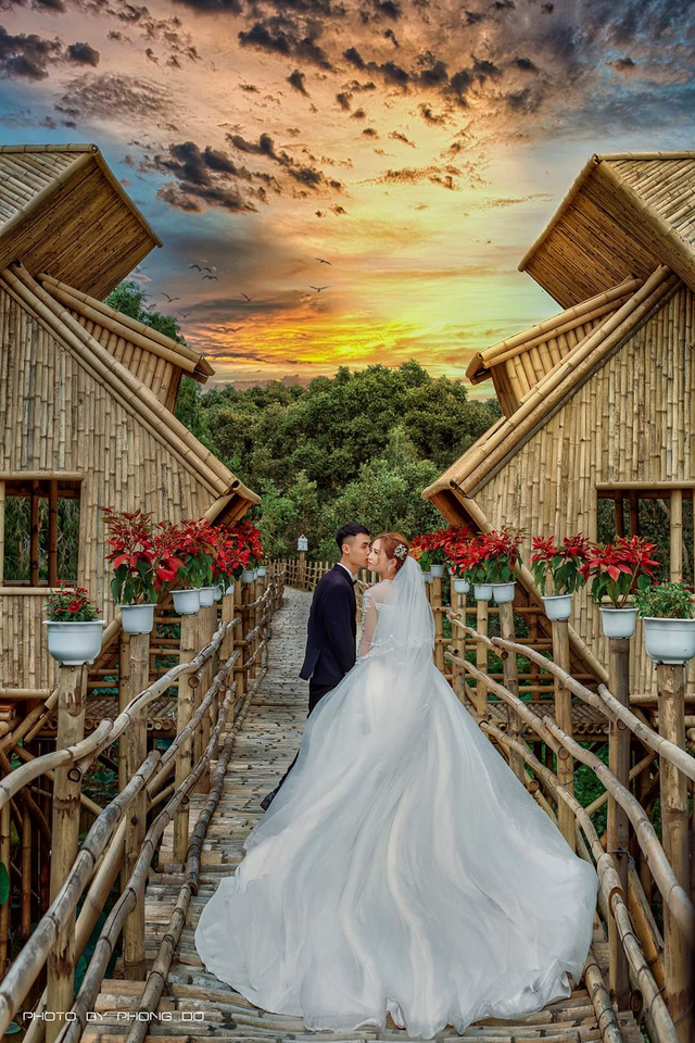 Cung đàn Trà Sư ảnh 1