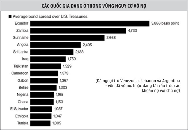 Cảnh báo khủng hoảng nợ tại thị trường mới nổi ảnh 1