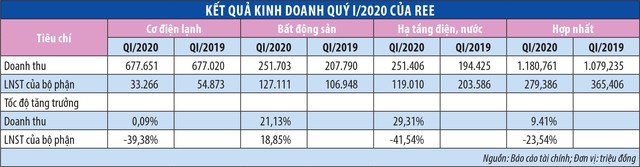 Đến đại hội REE, cổ đông nên hỏi gì? ảnh 1
