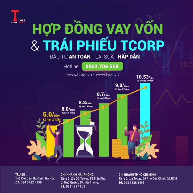 “Cây tre” Trí Việt vươn mình  ảnh 1