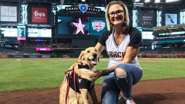 Xả thân cứu chủ nhân, chú chó bị rắn đuôi chuông cắn sưng cả miệng ảnh 2