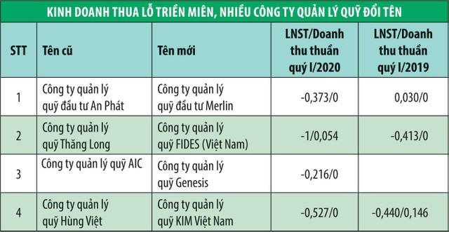 Công ty quản lý quỹ: Tên mới, hiệu quả có mới?  ảnh 1