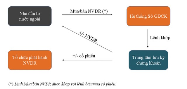 Rộng đường cho vốn ngoại, không nhất thiết chờ room  ảnh 4