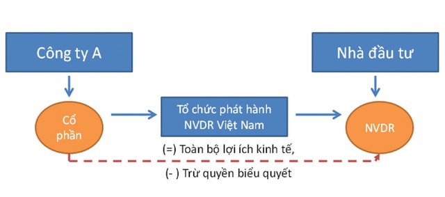 Rộng đường cho vốn ngoại, không nhất thiết chờ room  ảnh 3