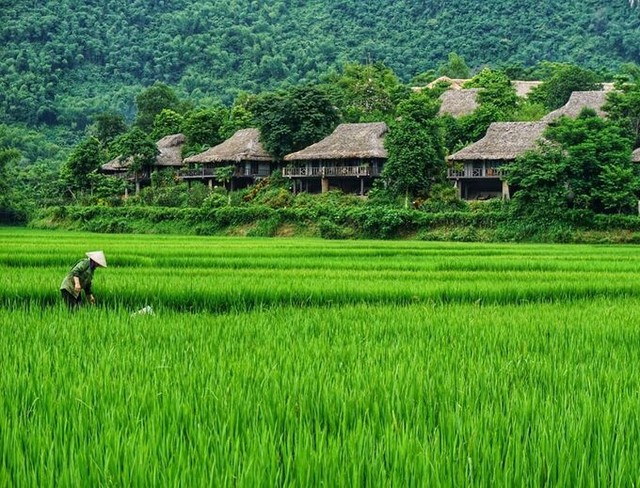 Cuối tuần check-in 3 resort xanh mướt gần Hà Nội ảnh 3